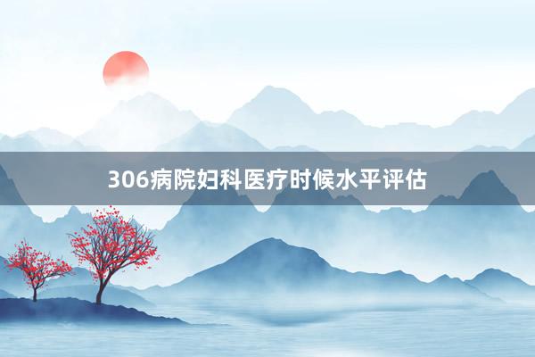 306病院妇科医疗时候水平评估